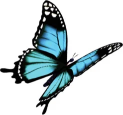 4x Robijn Klein & Krachtig Wasmiddel Black Velvet 1,19 Liter 17 4x Robijn Klein & Krachtig Wasmiddel Black Velvet 1,19 Liter -Wasbenodigdheden Winkel 1200x1118 1