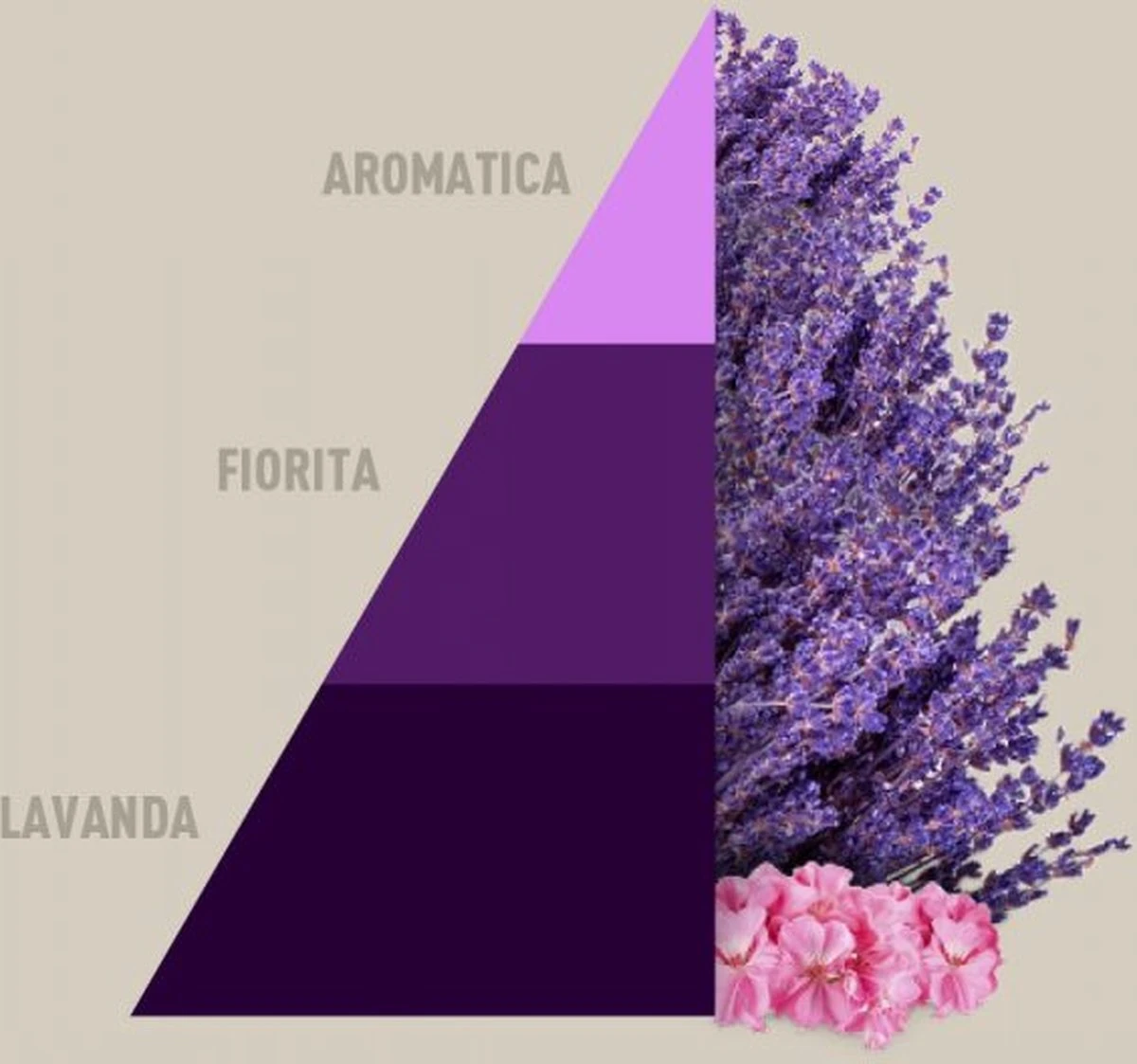 Horomia Wasparfum Aromatic Lavender - 500ml 2 Horomia Wasparfum Aromatic Lavender - 500ml - Afbeelding 2