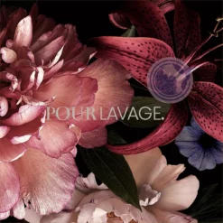 Lavayette Premium Wasparfum - Jasmin Shades - Geurbooster 500ml (Diamante) 12 Lavayette Premium Wasparfum - Jasmin Shades - Geurbooster 500ml (Diamante) -Wasbenodigdheden Winkel 1200x1200 1290