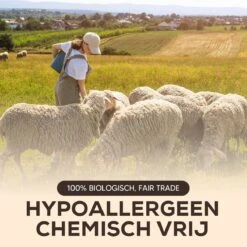 Drogerballen - Droogballen - Wasdrogerballen - Dryerballs - 6 Stuks - XL Formaat - Wol - Set -Wasbenodigdheden Winkel 1200x1200 1501