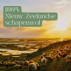 Miki's Goods® XL Wollen Drogerballen 6 Stuks - Panda Wasballen - Duurzaam - Wasbol - 100% Nieuw-Zeelandse Schapenwol - Wasbollen - Herbruikbaar- Droogballen - Snellere Droogtijd - Zuigt Dierenharen Op 14 Miki's Goods® XL Wollen Drogerballen 6 Stuks - Panda Wasballen - Duurzaam - Wasbol - 100% Nieuw-Zeelandse Schapenwol - Wasbollen - Herbruikbaar- Droogballen - Snellere Droogtijd - Zuigt Dierenharen Op -Wasbenodigdheden Winkel 1200x1200 1517