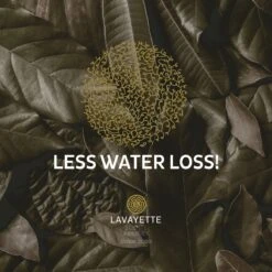 Lavayette XL Drogerballen Met 25ml Wasparfum - WasdrogerBallen – Droogballen – Wasbol – 100% Nieuw-Zeelands Schapenwol – Milieu- En Diervriendelijk – 6 Stuks -Wasbenodigdheden Winkel 1200x1200 1568