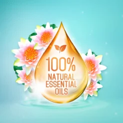 Frisse Reus Lotus Amandel Gel Wasmiddel - Vloeibaar - 80 Wasbeurten - Voordeelverpakking -Wasbenodigdheden Winkel 1200x1200 333