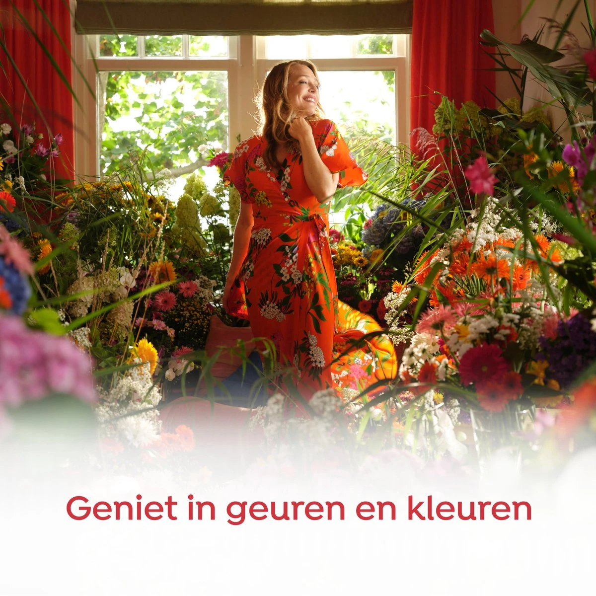 Robijn Color & Passiebloem Wasmiddel En Wasverzachter Pakket - 5 Stuks - Voordeelpakket 6 Robijn Color & Passiebloem Wasmiddel En Wasverzachter Pakket - 5 Stuks - Voordeelpakket - Afbeelding 6