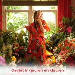 Robijn Klein & Krachtig Color Vloeibaar Wasmiddel - 8 X 20 Wasbeurten - Voordeelverpakking -Wasbenodigdheden Winkel 1200x1200 788