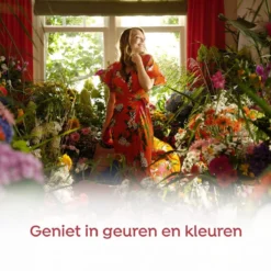 Robijn Klein & Krachtig Color Vloeibaar Wasmiddel - 8 X 19 Wasbeurten - Voordeelverpakking -Wasbenodigdheden Winkel 1200x1200 96