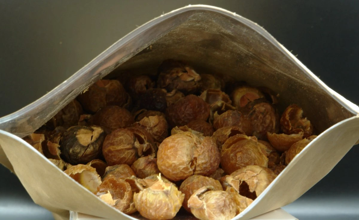 Wasnoten 750gr Met Waszakje - Zeepnoten - Natuurlijk Wassen 8 Wasnoten 750gr Met Waszakje - Zeepnoten - Natuurlijk Wassen - Afbeelding 8