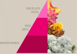 Wasbenodigdheden Winkel -Wasbenodigdheden Winkel 1200x856 1