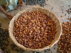 Wasnoten 750gr Met Waszakje - Zeepnoten - Natuurlijk Wassen 12 Wasnoten 750gr Met Waszakje - Zeepnoten - Natuurlijk Wassen -Wasbenodigdheden Winkel 1200x900