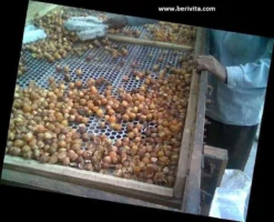 Wasnoten 3kg Met 4 Waszakjes - Zeepnoten - Natuurlijk Wassen - 4x750gr -Wasbenodigdheden Winkel 1200x973 3