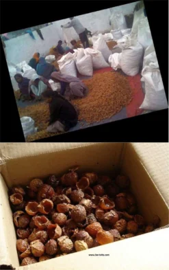 Wasnoten 3kg Met 4 Waszakjes - Zeepnoten - Natuurlijk Wassen - 4x750gr -Wasbenodigdheden Winkel 755x1200 3